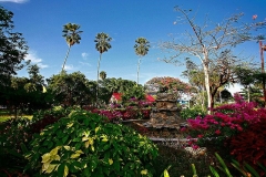 guyana-gardens